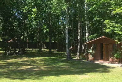 Image de Chalet en bois logement insolite au milieu du parc boisé
