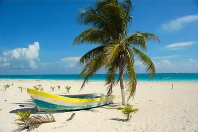 Image de Family friendly Secluded Beach House