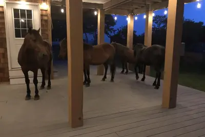 Image de 4x4 only! Canal front. Ocean And sound views! Decks and porches on all levels.