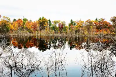 Image de Swimming, boat, kayak, fish, Bbq, Atv, hike, Huge Deck, pets, Nordic Mt- ski, tube, private