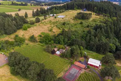 Image de Old Farm: A Modern-day 5-bedroom Farmhouse on Vineyard with Hot Tub!