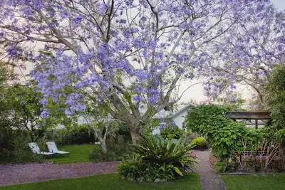 Image de Garden Cottage - 40b Witt Street