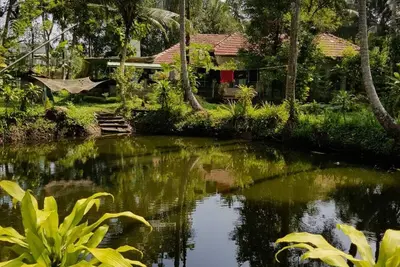 Image de Premium home stay with in-house Ayurveda body massage