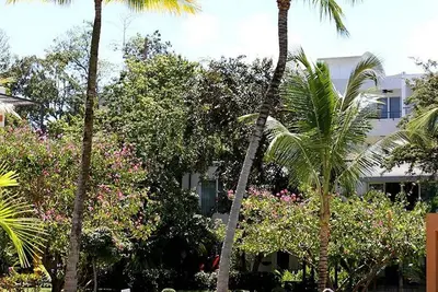 Image de Come spend the winter in our beachfront resort! No car needed, bring toothbrush