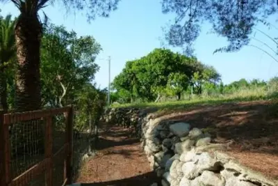 Image de Parghelia: Appartement - Parghelia