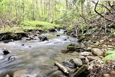 Image de Creekside Cabin - Private 20 Acres with Pond & Creek