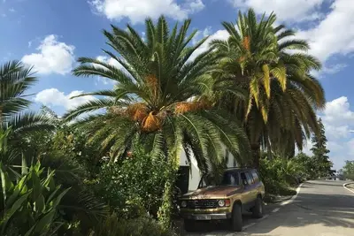 Image de Cortijo located in the middle of Sierra Súbetica with incredible views and landscapes
