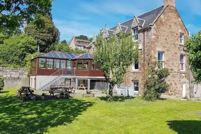 Image de The Pine Martin - Uk31005