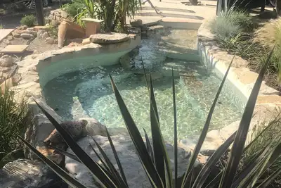 Image de Joli petit maset classé et  son jacuzzi naturel
