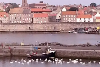 Stunning harbour side Gold graded apartment for two with secure parking