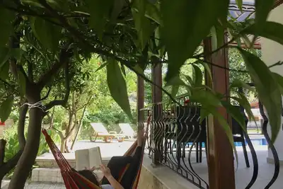 Image de Avocado Suites