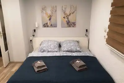 Image de SaidenbachHaus in the beautiful Ore Mountains.