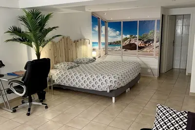 Image de Detached 45m2 T2 with small garden - Air cond, Parking, Quiet, Beach, All comforts.