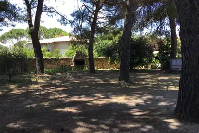 Image de Proche pezenas gite Rez de chaussé d’une villa, avec grand jardin pinède privée.