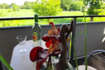 Image de Large vacation apartment with box-spring beds and balcony in Friesoythe