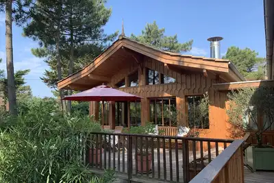 Image de Jolie villa en bois au cœur du Cap Ferret  dans un écrin de verdure