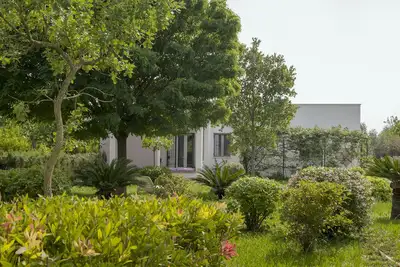 Image de The cricket and the cicada - sea and nature apartment