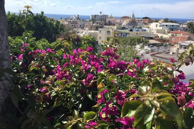 Image de Private Apartment with outdoor space