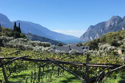 Image de A tranquil paradise overlooking the lake