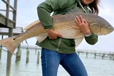 Image de Shangri-La Fish Camp & Private Pier