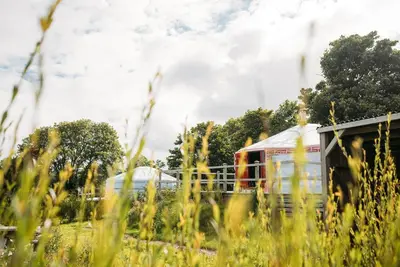 Image de Field Maple - A spacious Mongolian-inspired Yurt in stunning eco-friendly estate near Newquay