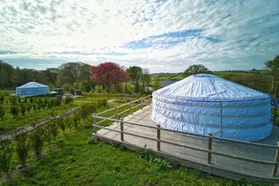 Image de Damaris - A spacious Mongolian-inspired Yurt in stunning eco-friendly estate near Newquay