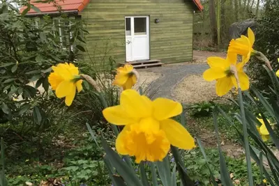 Image de Semi-detached house FeWo 2 - Ferienhäuser Ohlenbusch