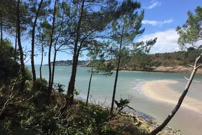 Image de Plage de Rospico, indépendante, calme, idéale pour rayonner.