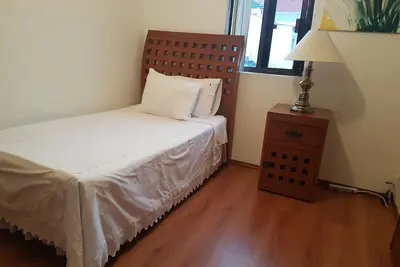 Image de Steinhaus Homero