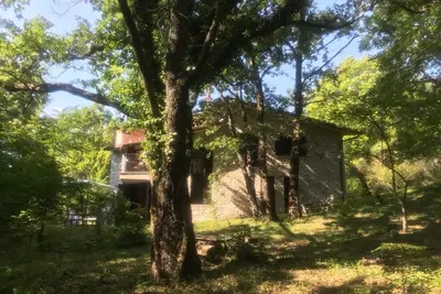 Image de Magic Stone Villa in the Forest