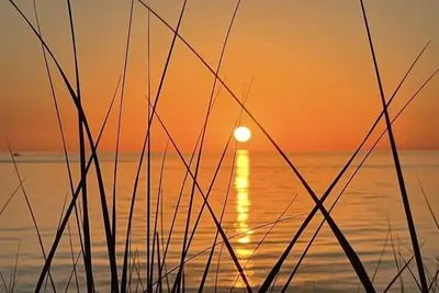 Image de Your private beach on Lake Michigan. . . book N O W! 6Night just opened Jul 6-12