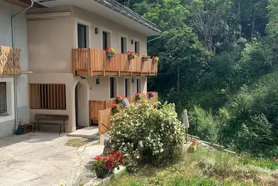 Image de Le Berger blanc