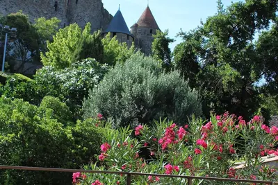 Image de Le Cellier de Beaulieu, son Jacuzzi et la Cité de Carcassonne