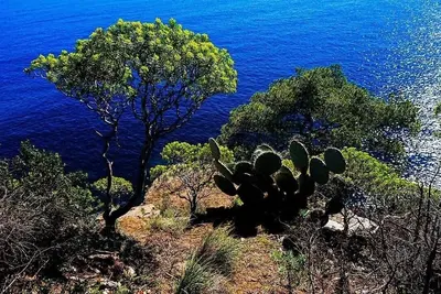 Image de Appt 4 personnes, clim, fibre, parking privatif, 100m de la plage\n la Fossette