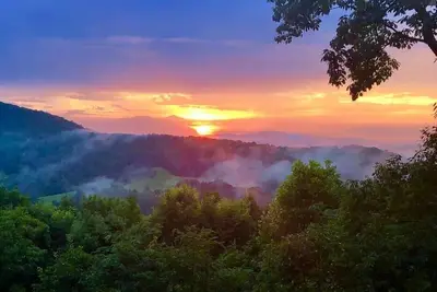 Image de Hoot Owl | Free Night Offer!