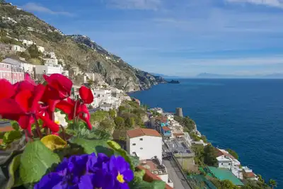 House The Sunflowers