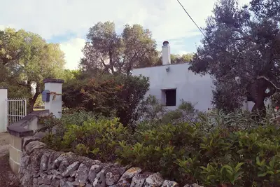 Image de Villa nestled in an olive grove 10 minutes from the sea