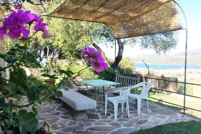 Image de House with tree-lined garden and green lawn