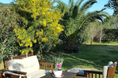 Image de Barefoot Cottage! ! !