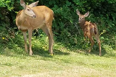 Image de Guest House w/view