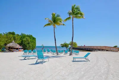 Image de Snorkel & Dive Legendary Coral Reefs - Then Relax Poolside with a Drink!