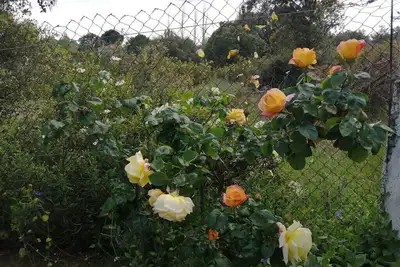 Image de 2000 meters of garden surrounded by nature