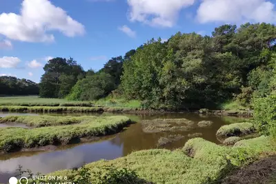 Image de Maison Bretagne 4 ch 2 SdB Jardin Terrasse Plages