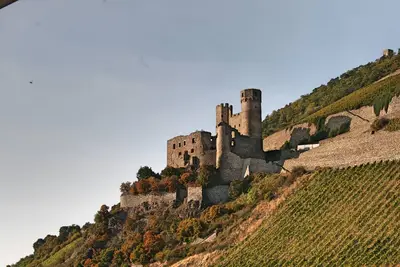 Image de Apartment GRÜNE Traube Rüdesheim old town, modern, central and quiet, free Wifi