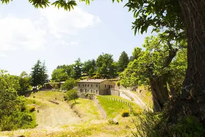 Image de House In The Green Juniper In The Casentino Forests Park