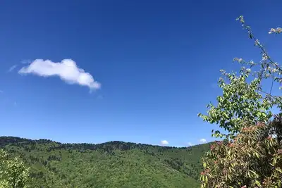 Image de Scenic cabin getaway minutes from town