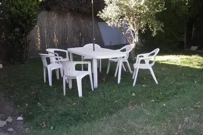 Image de le nid de la sorguette