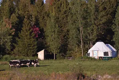Image de Escape to Nature: Cozy Yurt on a Heritage Farm with Trails, Pond, & Sauna