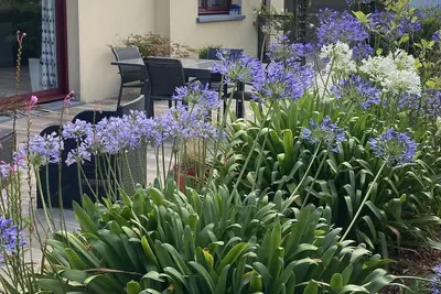 Image de Maison Recente 130 M2 Avec Jardin Proche Landerneau 6 Pers.