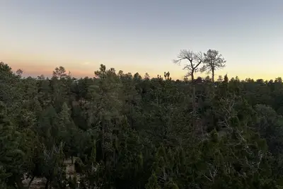 Image de Secluded Cabin, Very Private in The Pines on 2 acres - Wraparound Deck